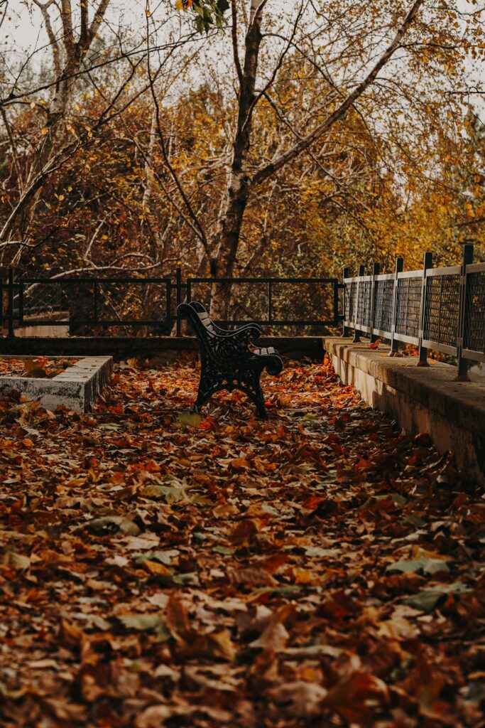 An empty bench surrounded by fallen autumn leaves, a quiet place to pause and reflect